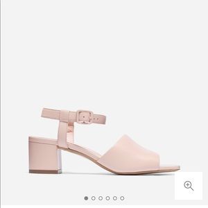 Everlane Block Heel Sandal